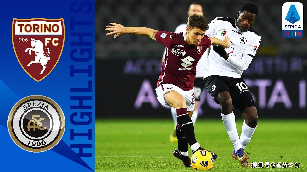 都灵主场作战,欲给对手沉重一击的简单介绍 都灵主场作战,欲给对手沉重一击的简单介绍