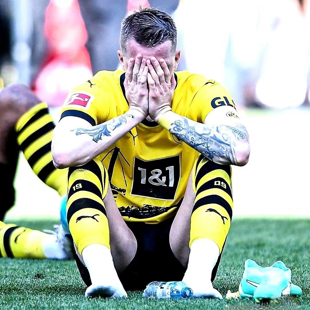 摩纳哥主场失利，球迷情绪低落难以平复的简单介绍